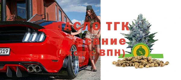 индика Аркадак